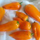 A pile of fresh aji amarillos on a paper towel